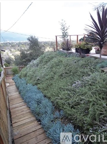 300 Sequoia Drive 2 Beds Single Family Home for Rent - Photo Gallery 12