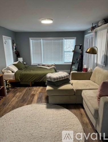 A bedroom with a bed, a couch, and a rug.