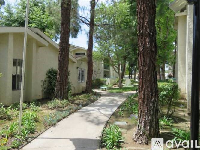 A white house with a tree in front of it.