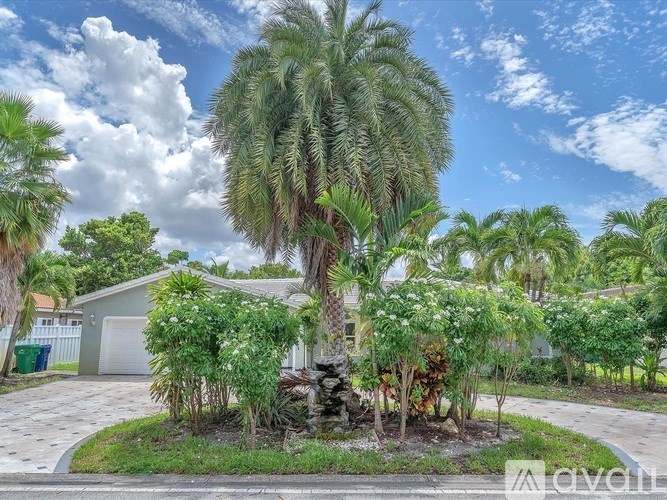 A palm tree stands in the middle of a well-manicured garden.