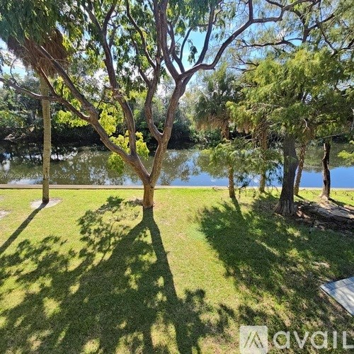 A tree stands in a grassy area next to a body of water.