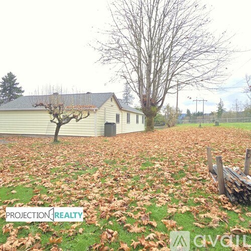 A tree with no leaves stands in a field of fallen leaves.