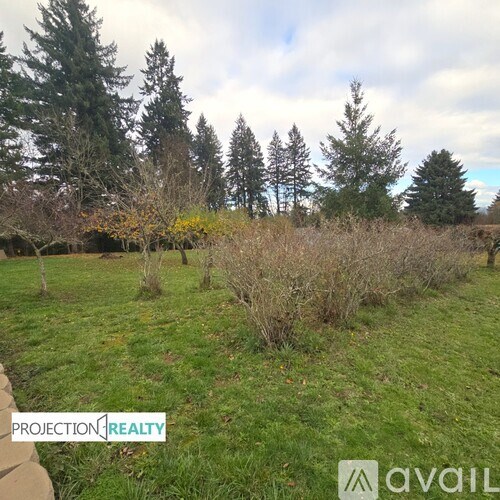 A grassy field with trees in the background and a sign that says "PROJECTION REALTY".