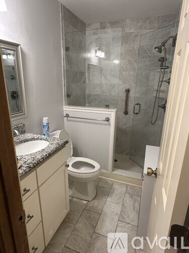 A bathroom with a walk-in shower and a toilet.
