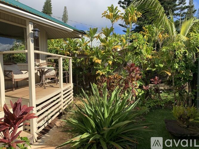 A patio area with a table and chairs surrounded by green plants.