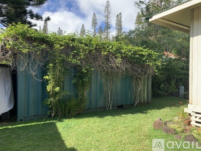 A green plant is growing on the side of a grey building.