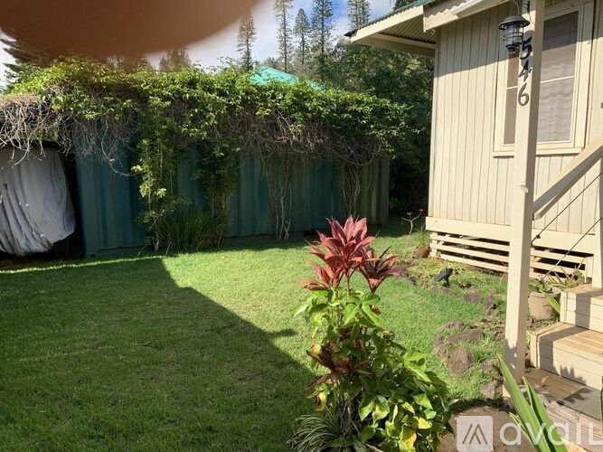 A garden with a fence and a house number 546.