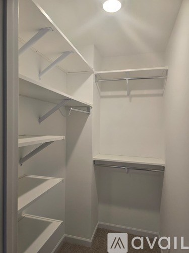 A white walk-in closet with shelves and a carpeted floor.