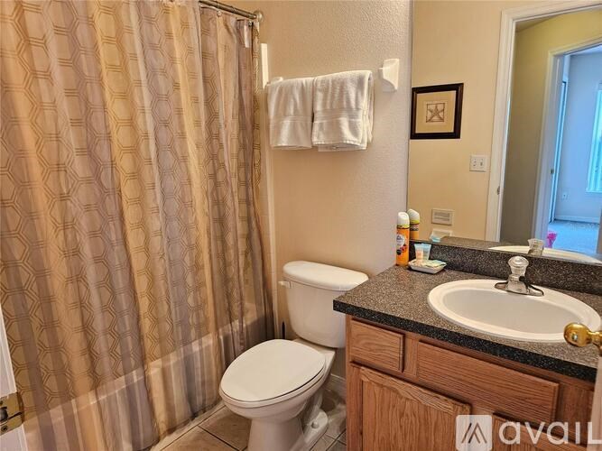 297 Blue Jay Way 3 Beds Single Family Home for Rent - Photo Gallery 6