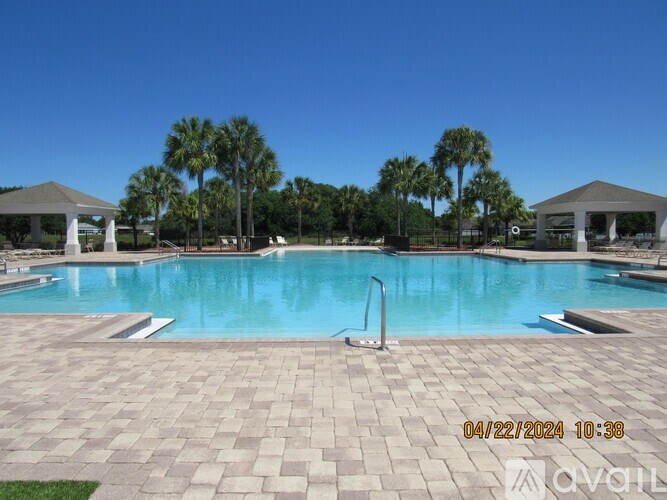 A pool with a clear blue sky and palm trees in the background.