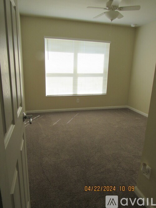 A room with a carpeted floor, a ceiling fan, and a window with blinds.