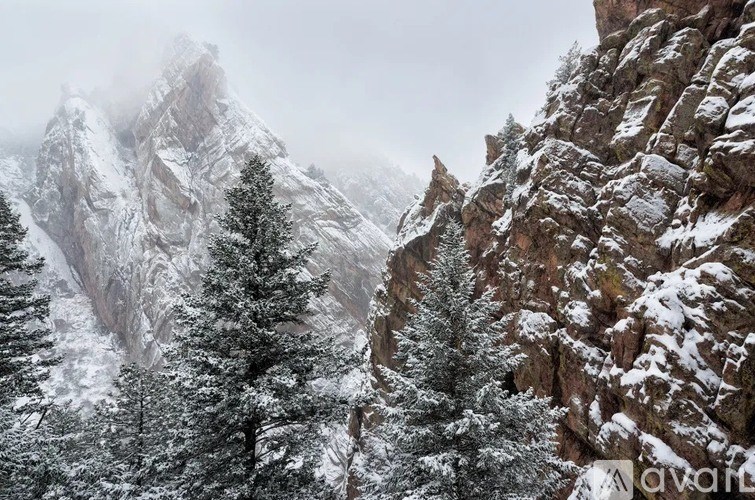 A snowy mountain landscape with trees and rocky cliffs.