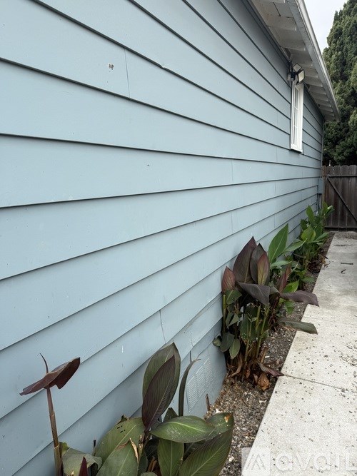 1234 81st Avenue 2 Beds Single Family Home for Rent - Photo Gallery 11