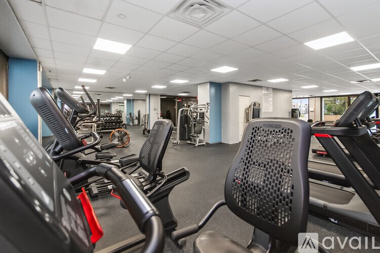 A gym with treadmills, elliptical machines and other cardio equipment.