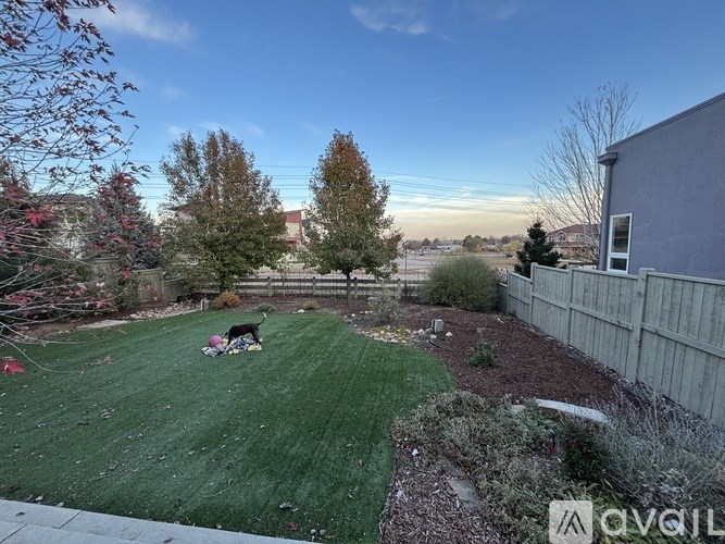 A backyard with a lawn and a tree.