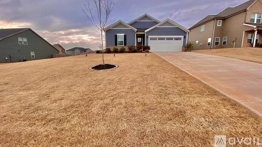 A house with a brown lawn and a tree in front of it.