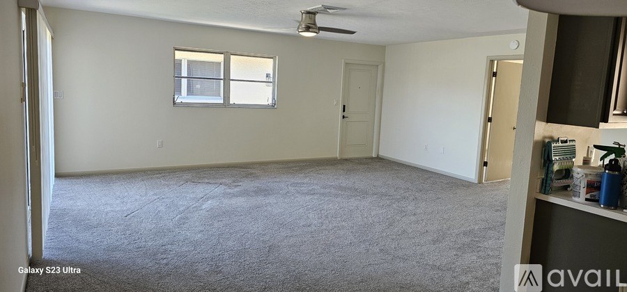 A room with a carpeted floor and a ceiling fan.