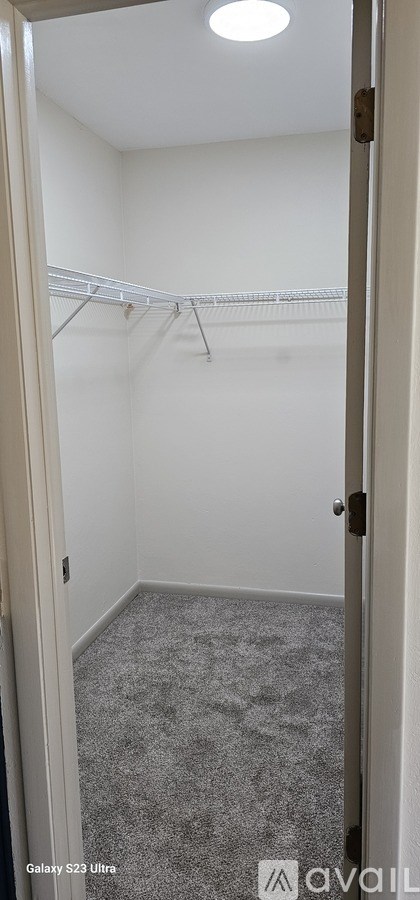 A white closet with a carpeted floor and a door.