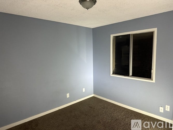 A room with a carpeted floor, a window, and a light on the ceiling.
