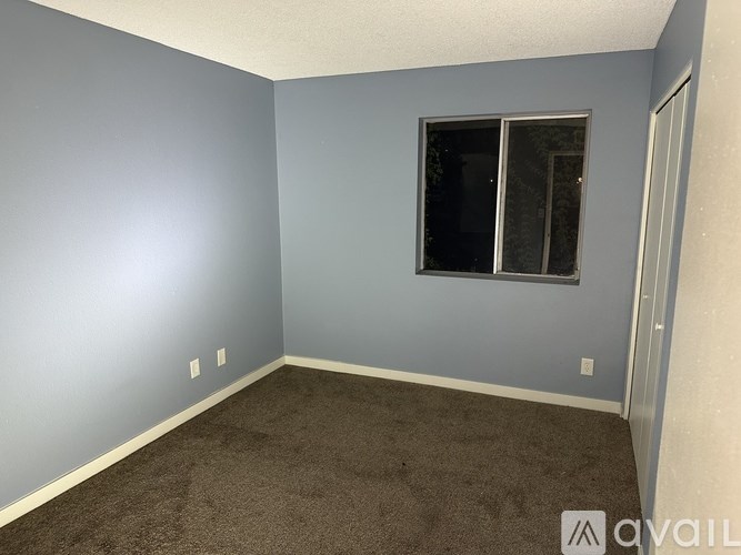 A room with a carpeted floor and a window.