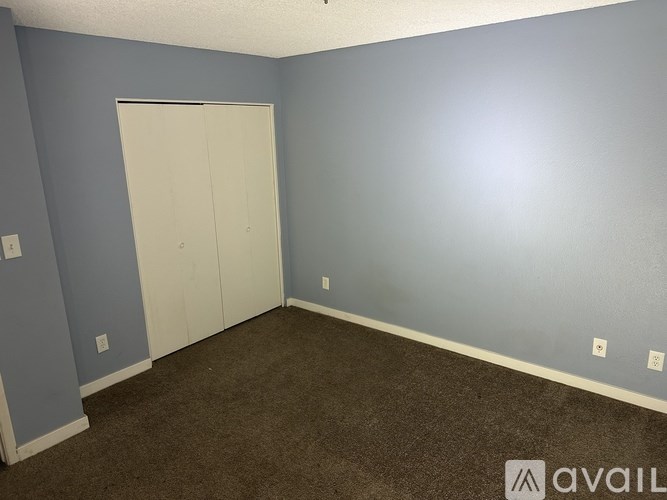 A room with a brown carpet and a white door.