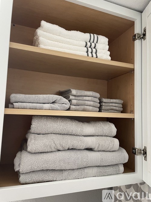 Towels are neatly stacked on shelves in a cabinet.