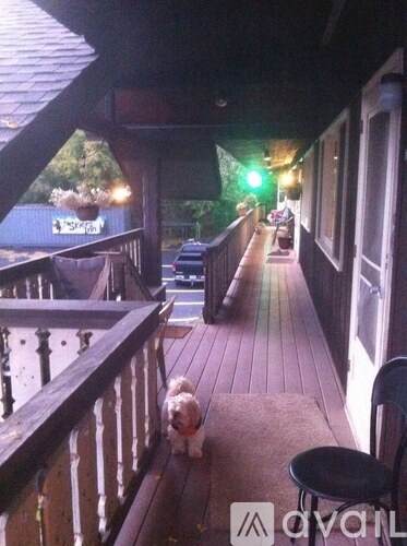 A dog is sitting on a porch with a black stool.