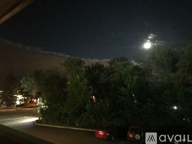 A night scene with a street and trees.