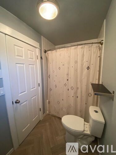 A small bathroom with a toilet, a shower curtain, and a white door.