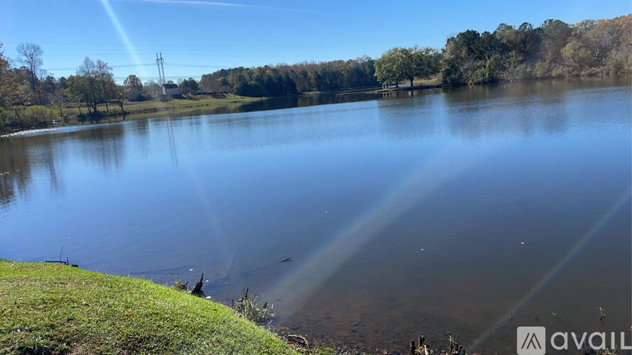 A serene lake surrounded by trees under a clear blue sky.