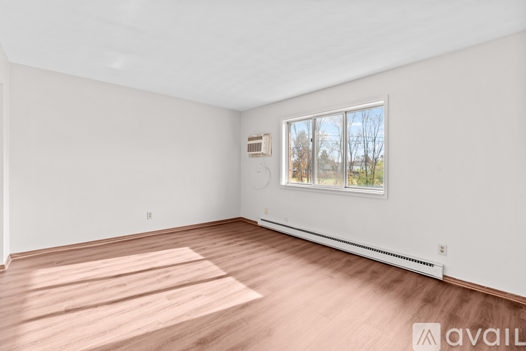 A room with a window and a radiator on the wall.