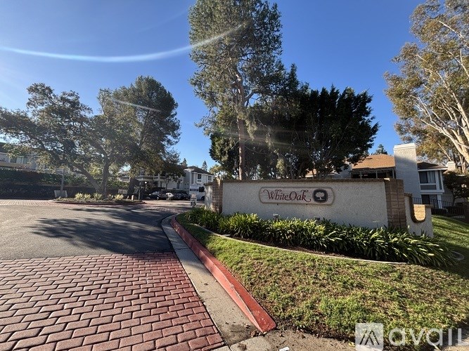 25713 Sycamore Pointe 1 Bed Apartment for Rent - Photo Gallery 5