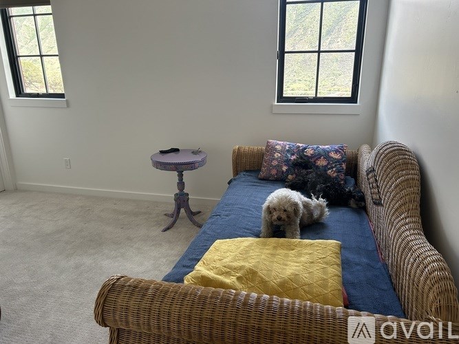 A dog is lying on a bed with a yellow pillow.