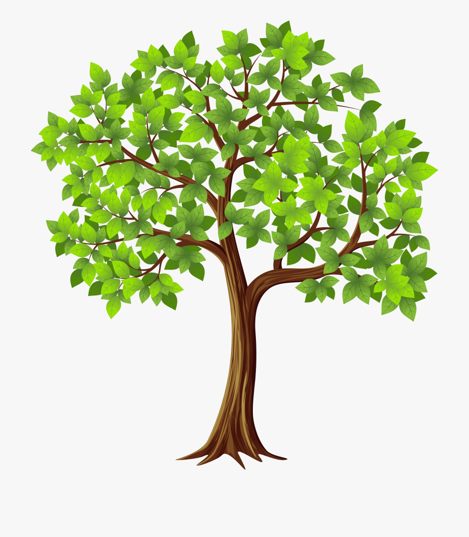 A tree with green leaves and brown trunk.