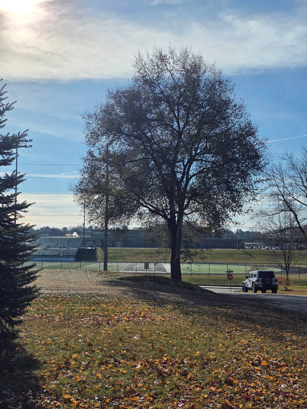 6003, 6005, 6007 Burns Street 1-2 Beds Apartment for Rent - Photo Gallery 14