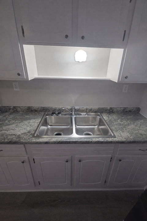 A kitchen with a sink and cabinets.