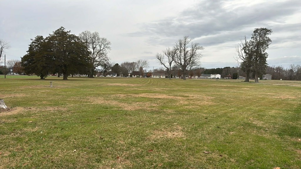 30117 DEAL ISLAND RD 5 Beds House for Rent - Photo Gallery 61