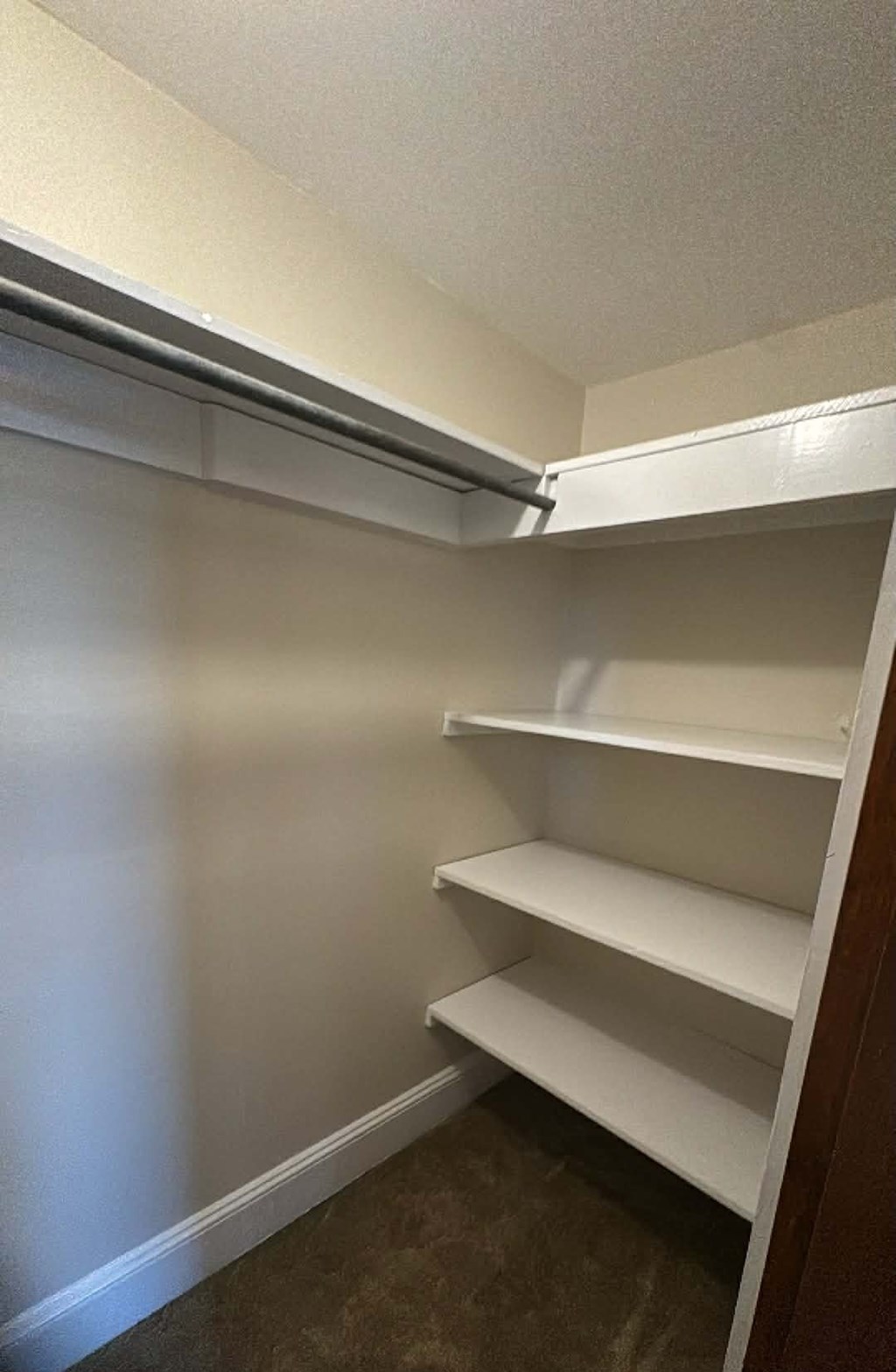 30117 DEAL ISLAND RD 5 Beds House for Rent - Photo Gallery 8