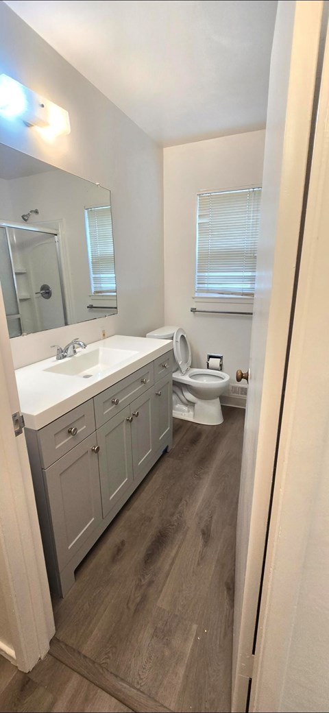 A bathroom with a sink, toilet, and mirror.