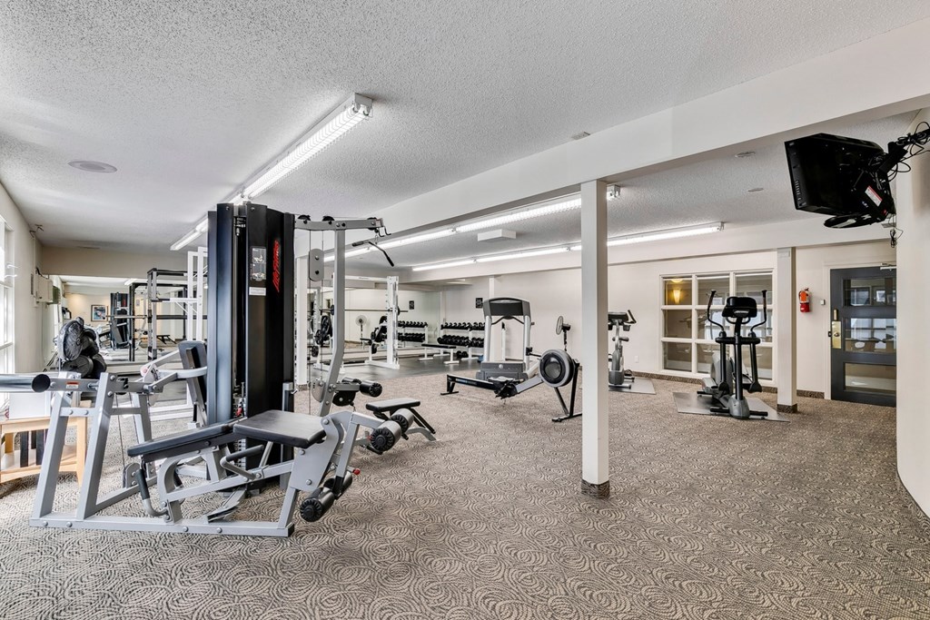 A spacious gym with a variety of equipment including a treadmill, weight bench, and a television.