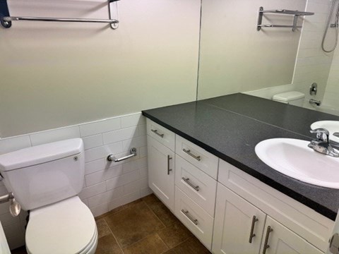 A white toilet sits next to a sink in a bathroom.
