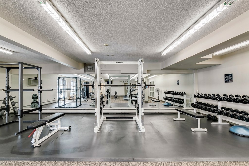 A spacious gym with a variety of equipment including weights and weight machines.