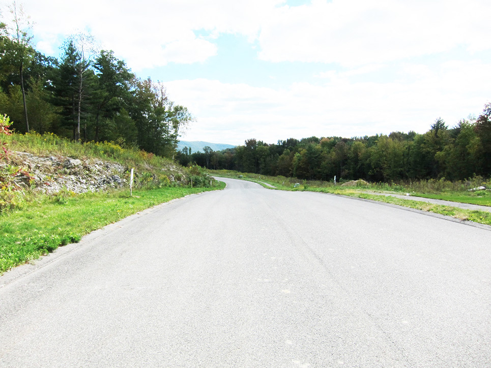 A road stretches into the distance surrounded by trees and grass.