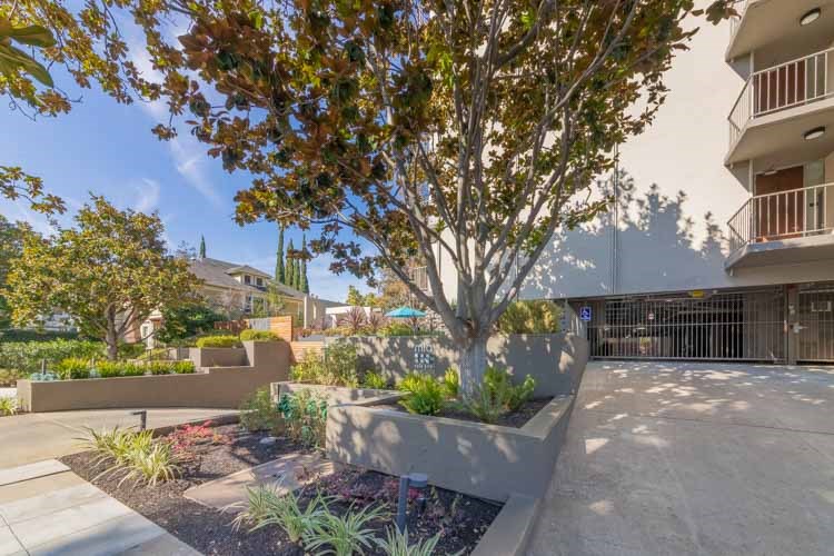 a courtyard with a tree and plants in front of a building