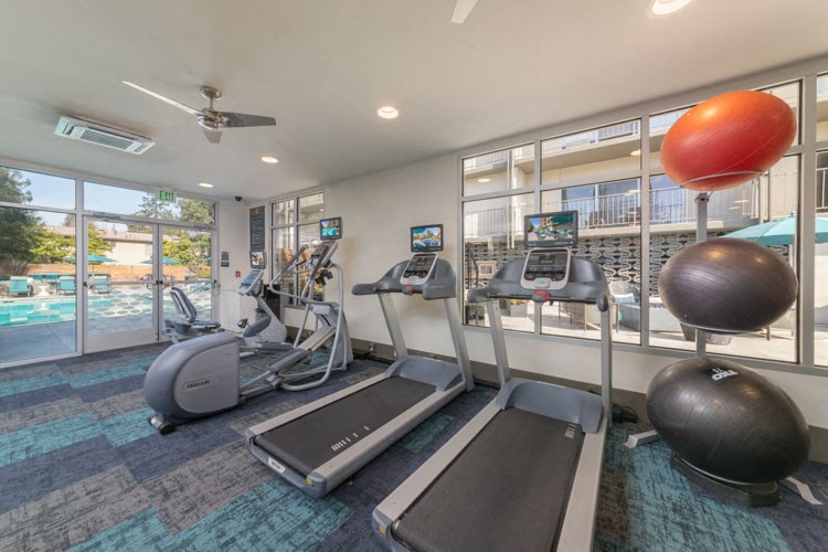 treadmills and other exercise equipment in a gym with a pool