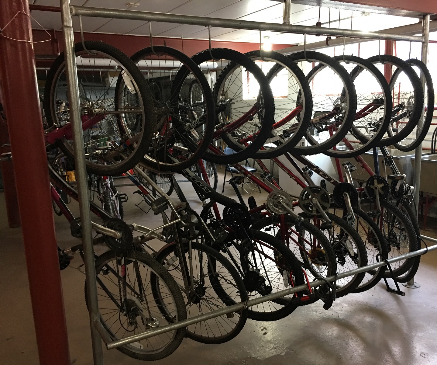 a row of bikes hanging on a rack in a bike shop