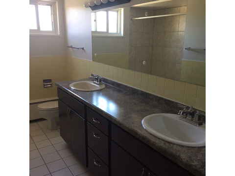 8540 Niles Center Two Bedroom Bathroom