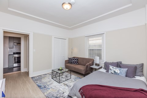 A bedroom with a bed, couch, and a rug.