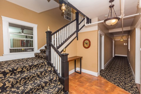 A staircase with a black and gold patterned carpeted stair runner.