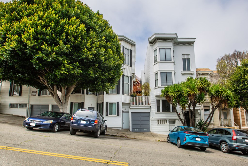 A tree with green leaves is in front of a white building.